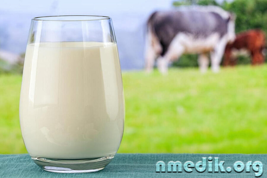 О пользе коровьего молока