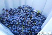Лечение виноградом - Нарушения обмена веществ