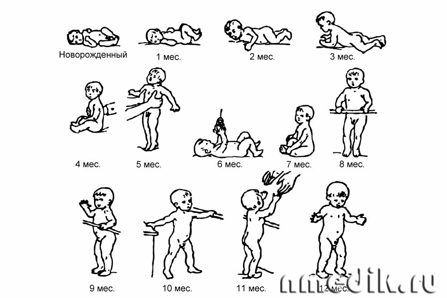 Схема развития статических и двигательных функций у грудного ребенка