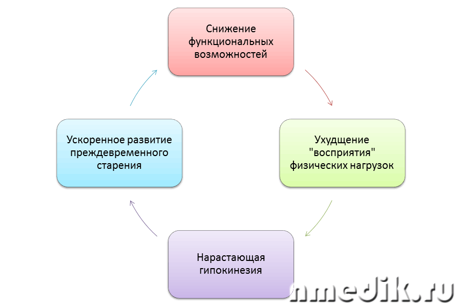 Схема развития гипокинезии