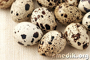 Различные виды яиц