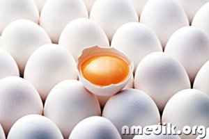 Все про яйцо - это нужно знать каждому