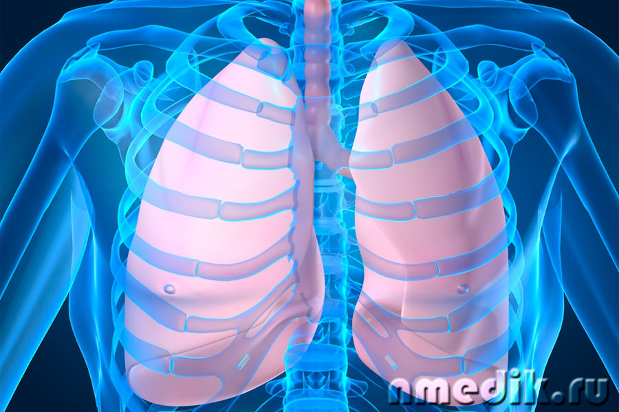 Мифы и факты о дыхательной системе