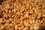 Пророщенная пшеница – удивительная живая пища