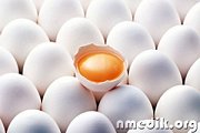Яйцо – это нужно знать каждому!