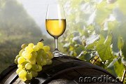 Энотерапия - лечение вином