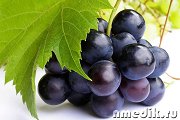 Лечение виноградом - Заболевания печени и желчного пузыря